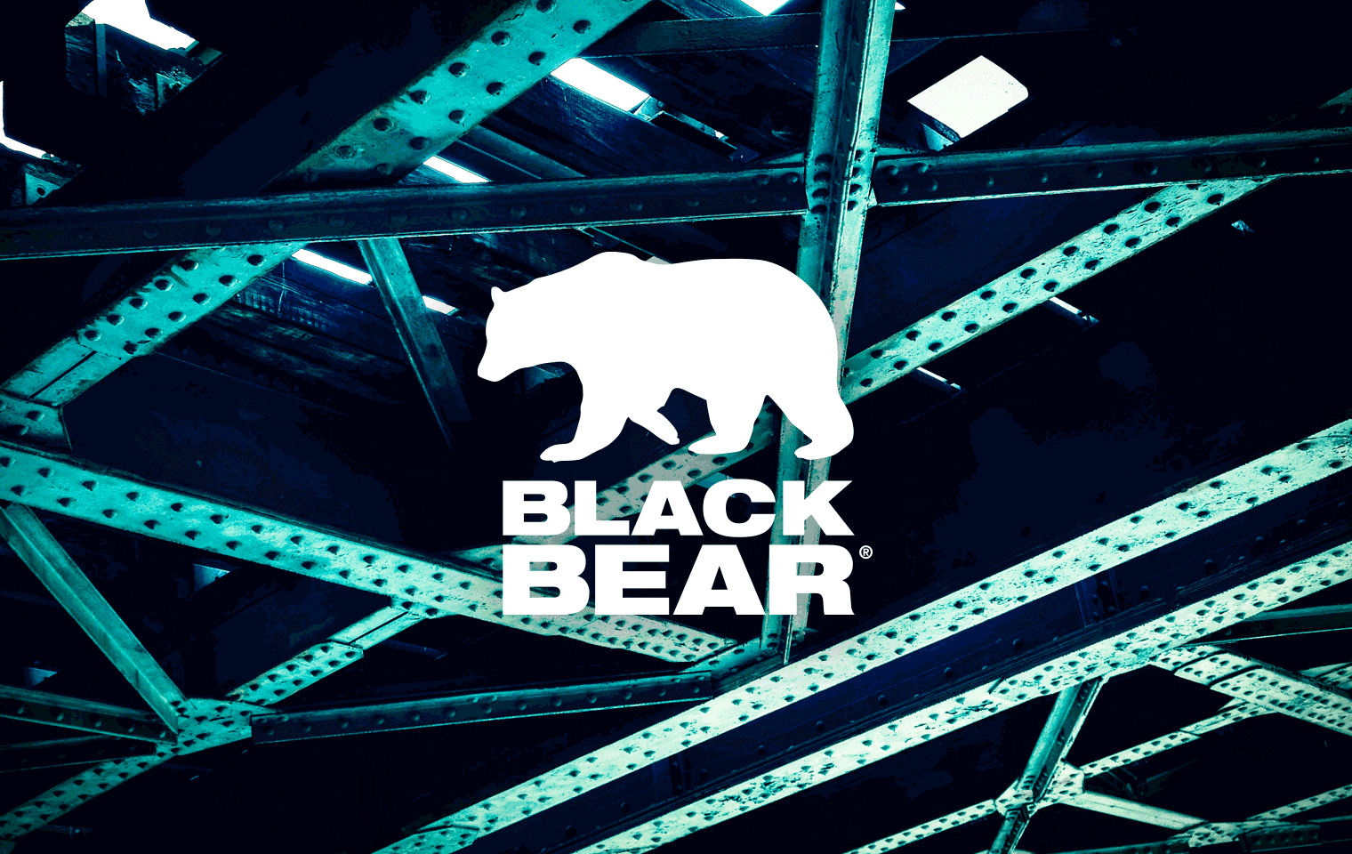 Black Bear