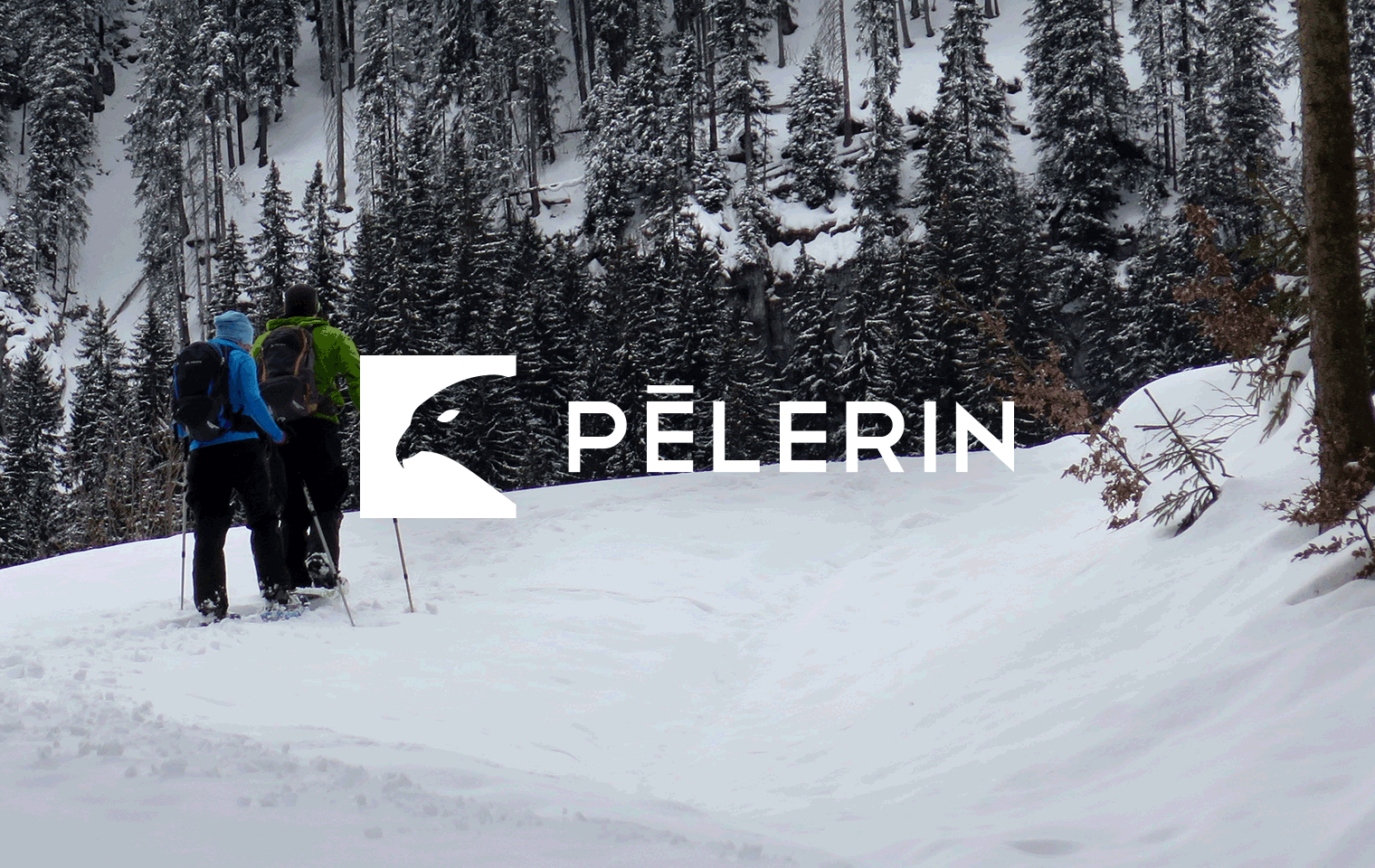Pèlerin